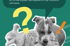 Марафон Семейный бюджет2-1