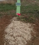 img-20190408-wa0013