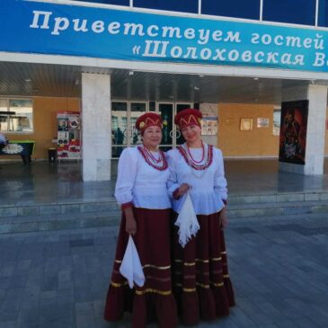 Социальное волонтерство на «Шолоховской весне»