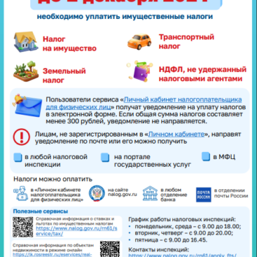 Уплатить налоги не позднее 2 декабря 2024